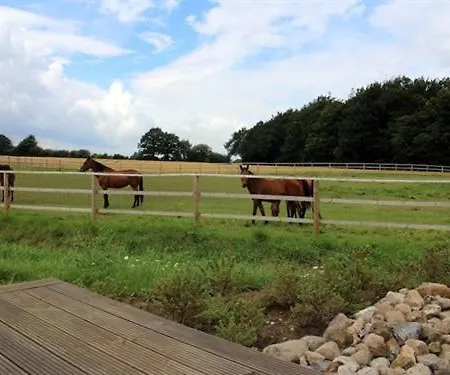 Oase Friedensthal * Friedenstal